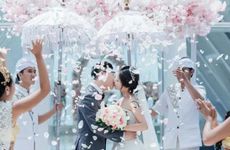 客厅挂什么窗帘好看聚财 2024年客厅最旺三种颜色窗帘