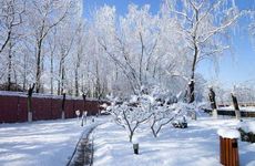 游戏宠物名字大全超拽霸气