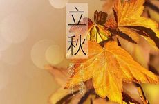 梦见吃野菜是什么意思