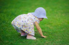 2024年牛宝宝农历8月几出生好