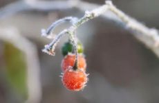 爱穿男朋友衣服的星座女