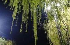 2022清明节去五台山烧香好吗