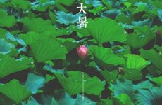 做梦梦到蛇是什么预兆?