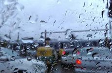 梦见黄牛怎么回事 梦见黄牛有什么预兆