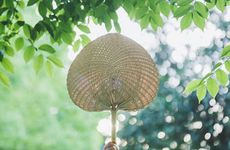 俗语：“小暑四面风，庄稼半场空”，明日小暑，刮风好不好？