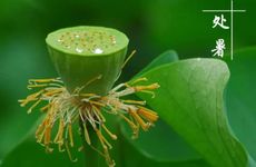 农村灶台朝向哪个方位最好 坐北朝南灶台朝向哪个方位最好