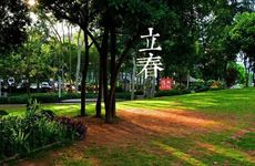 2024立春丑时出生女孩乳名 这天出生女孩什么命