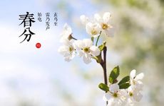 2023一九二九从哪天开始算