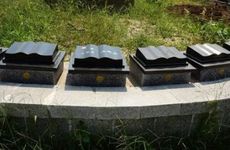 清明节扫墓用什么花？扫墓包几朵菊花合适？