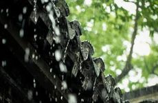 今日胎神方位 2022年11月28日农历十一月初五