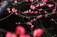 2022立春躲春能不能两个人一起