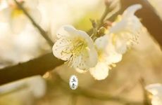 2024年立春会打雷吗 立春打雷是吉是凶