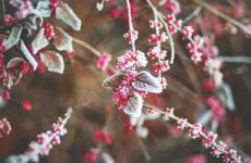 除夕立春贴春联吗