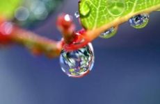 2022年白露出生的人命运如何？白露出生命硬还是命苦