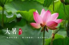 2022年处暑时间几点几分几秒钟 气温下降多注意