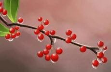 女儿梦到爸爸得重病了什么预兆 周公解梦