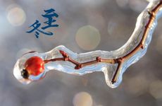 拉布拉多犬名字洋气