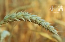 2022年5月21日小满结婚吉时查询 今天是黄道吉日吗