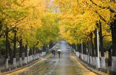 西安立秋吃什么 西安秋天的美食习俗