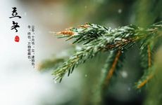 今年立冬开业好不好 2024年农历十月初七是开业好日子吗