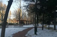 老黄历2025年冬月拜财神爷哪几天好