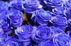 七夕节的活动及美食