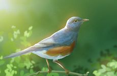 梦见买电视怎么回事 梦见买电视有什么预兆