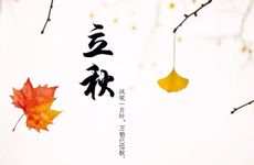 立秋节气的传统习俗及养生食物