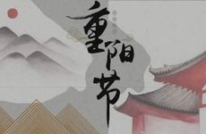 2024年重阳节送菊花的意义