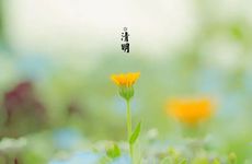 梦见别人放烟花冲上天有什么预兆