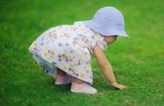 为什么虎年不要生孩子