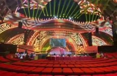 过年家里放的红色的花