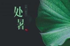 2022年处暑换运的是什么时间 处暑的农作物是什么