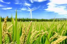 2022年秋老虎是几月 2022年秋老虎是哪一天