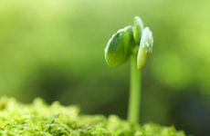 立春打春为什么不能回娘家 打春这天为什么不能回娘家