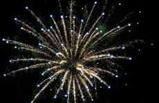 过春节一般买什么绿植买什么花寓意好 鸿运当头最招财