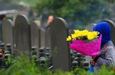 青海西宁人的清明节习俗