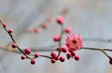 立春当天忌讳什么 立春迎春接福怎么做