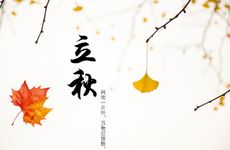 立夏节气的露水几点多 立夏到立秋叫啥节气