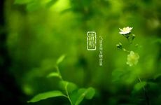 清明扫墓的诗句 清明墓祭的由来