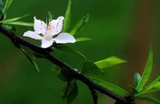 2022年立春的虎宝宝名字 优美好听虎宝学名解析