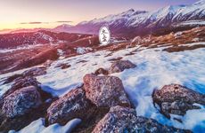 冬至各地吃什么 冬至各地食物盘点