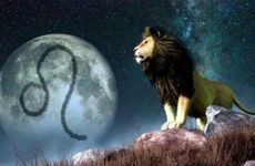 12星座如何呵护美肤-狮子座