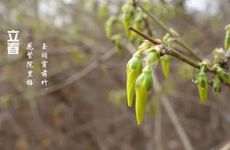 民间在立春时都有哪些习俗？