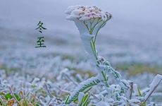 梦见守财奴怎么回事 梦见守财奴有什么预兆