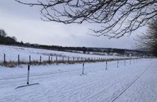 兔年春联2023最新春联大全