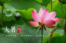 梦见大黄蜂周公解梦，梦见大黄蜂是什么意思？