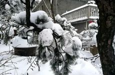 自尊心最强的星座有谁 最自傲的星座