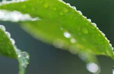 2023年有几个立春？ 2023年双春年有哪些讲究？