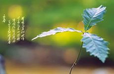 2023年立春时间几点几分几秒钟 立春是怎么来的